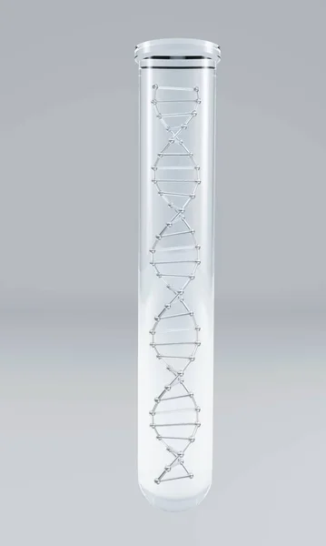 A medical glass tube with a DNA molecule inside.3d illustration with highlights and shadows.The concept of a stem cell bank, rejuvenation, cancer treatment and genetic diseases.Tests for the presence