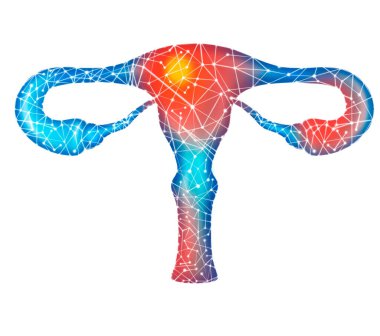 Beyaz arka planda kırmızı hasarı olan mavi kadın 3D illüstrasyonu. Pleksus ve poligon. Sağlıklı iç sistem. İlaç, tedavi, sağlıklı insan konsepti. Yüksek kalite fotoğraf. Yüksek kalite