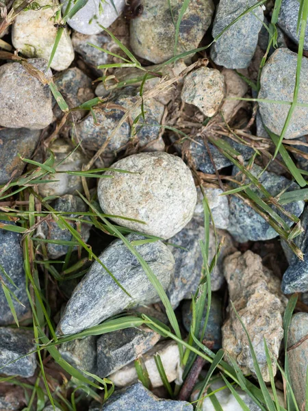 Close Ground Cover Composed Cobble Stones — Stock Photo, Image