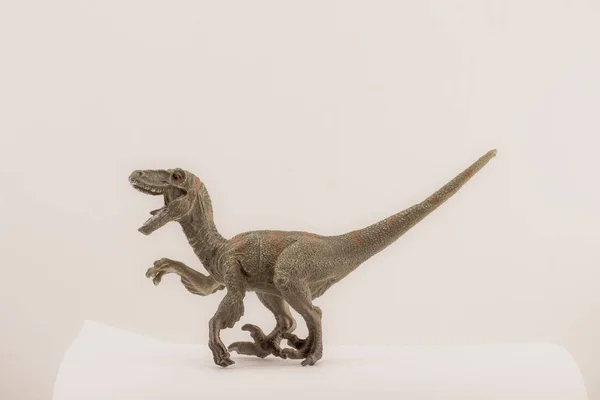 玩具恐龙隔离 儿童用小塑料模型 — 图库照片