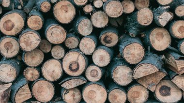 Bölümde istiflenmiş ahşap kütüklerin arkaplanı