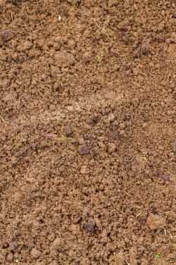 İlkbaharda tohum ekmek için seraya arazi.