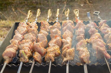 Şiş kebap ızgaradaki şişte domuz parçalarından yapılır.