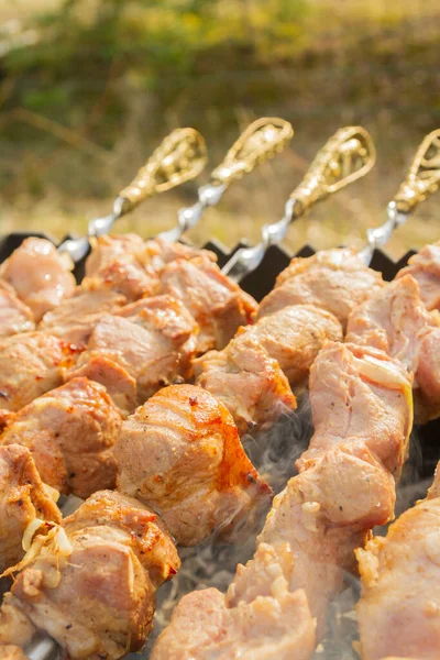 Shish Kebab Kawałków Wieprzowiny Jest Gotowane Szaszłykach Grillu — Zdjęcie stockowe