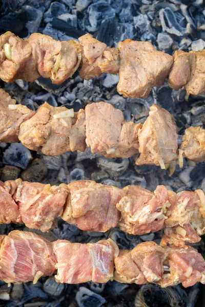 Shish Kebab Készült Darab Sertés Főtt Nyárson Grill — Stock Fotó