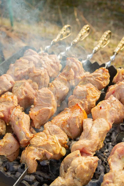 Shish Kebab Hecho Trozos Cerdo Cocina Pinchos Parrilla —  Fotos de Stock