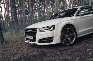 Ormanda beyaz Audi S8 D4. Kherson, Ukrayna - Ağustos 2021.