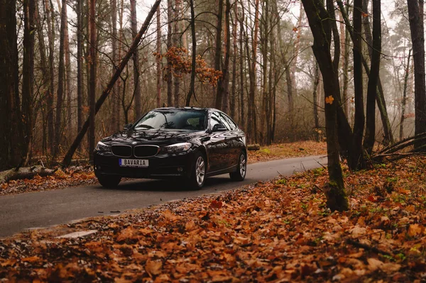 Kiev Ukraine Novembre 2019 Bmw Série Dans Contexte Une Forêt — Photo