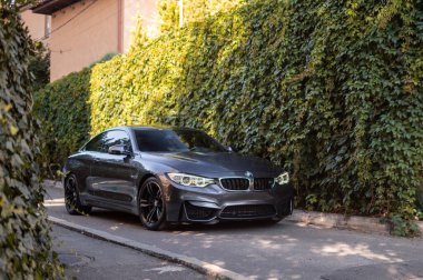 Odessa, Ukrayna - Ağustos 2020: Yeşil çalılıkların arka planında BMW M4.