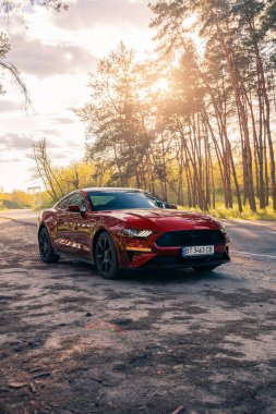 Orman yolunda kırmızı renkli Amerikan kaslı arabası Ford Mustang. Kherson, Ukrayna - Mayıs 2021.