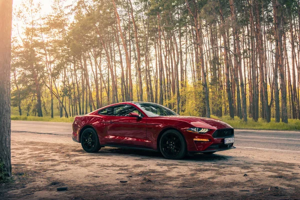 Amerikanisches Muscle Car Ford Mustang Roter Farbe Auf Der Forststraße — Stockfoto