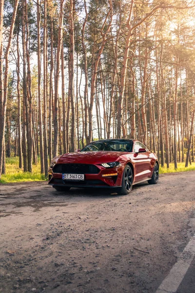 Orman yolunda kırmızı renkli Amerikan kaslı arabası Ford Mustang. Kherson, Ukrayna - Mayıs 2021.