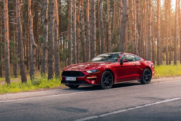Muscle Américain Ford Mustang Dans Une Couleur Rouge Sur Route — Photo