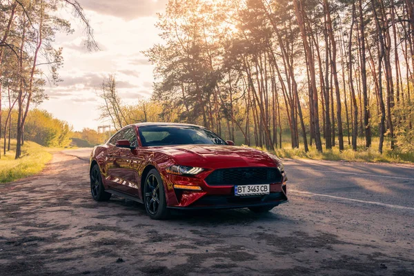 Muscle Américain Ford Mustang Dans Une Couleur Rouge Sur Route — Photo