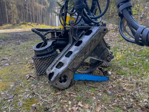 Alman Ormanı 'ndaki bir hasatçının fotoğrafı.