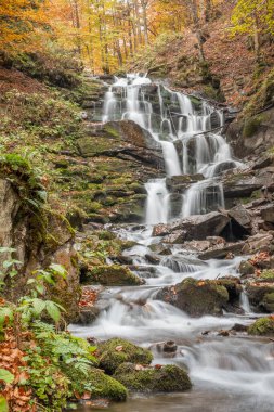 Sonbahar ormanındaki inanılmaz şelale manzarası. Ukrayna 'daki Guk şelalesinin sonbahar renkleri.