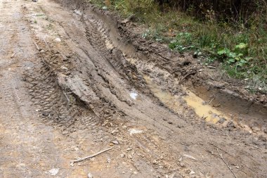 Ormanın arka planında kirli bir yol. Yaklaş..