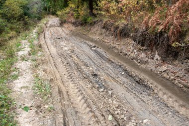 Ormanın arka planında kirli bir yol. Yaklaş..