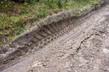 Ormanın arka planında kirli bir yol. Yaklaş..
