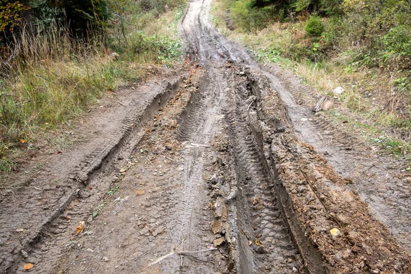 Dirty road in the forest background close up.