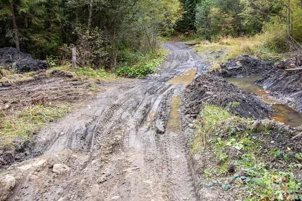 Dirty road in the forest background close up.