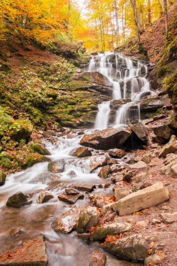 Beautiful waterfall with trees, red leaves, rocks and stones in autumn forest