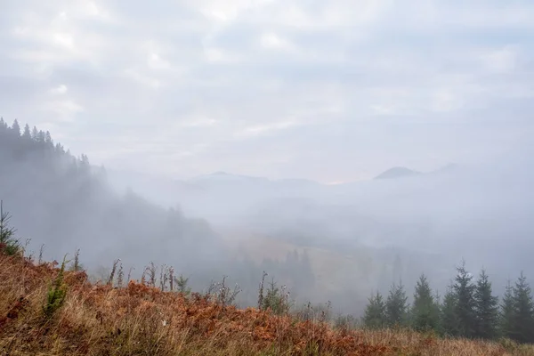 Misty Morning Carpathian Mountains Autumn White Fog Dreamy Mountain Range — Fotografia de Stock
