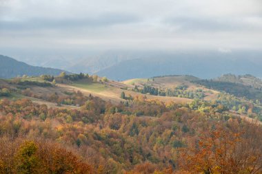 carpathian landscape in october. hills and mountain range in warm sunny weather with low clouds in the sky in autumn