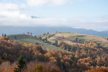 carpathian landscape in october. hills and mountain range in warm sunny weather with low clouds in the sky in autumn