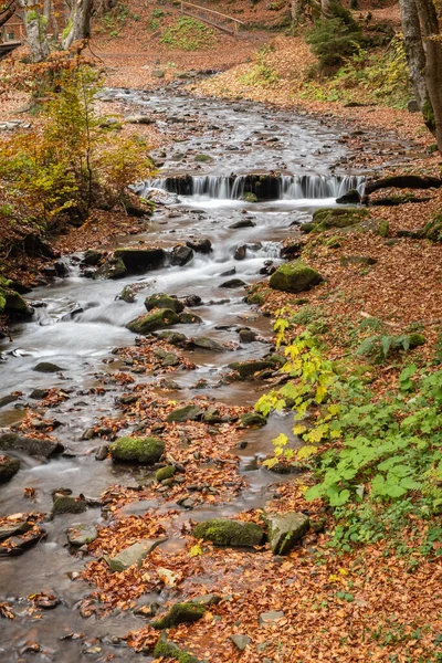 Mountain Stream Flows Autumn Forest Forest Stream Autumn Landscape — Foto de Stock