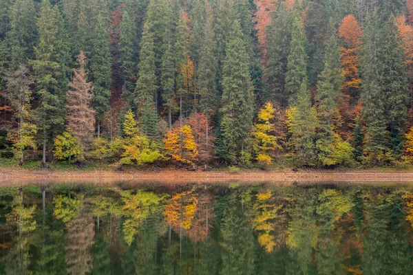 Lake in mystery fog with autumn forest. Ghostly mountain lake. Ukrainian lake Synevir