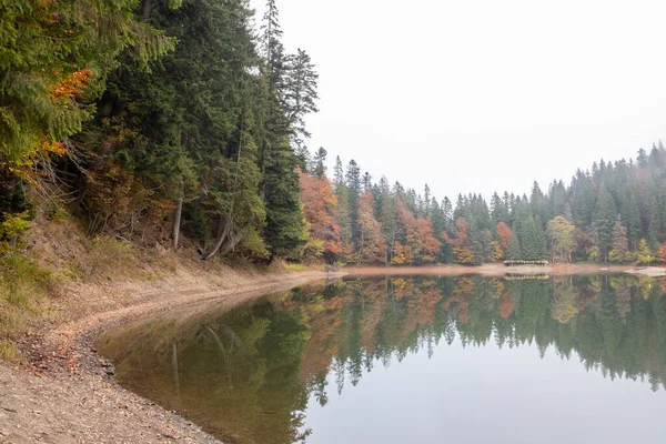Lake in mystery fog with autumn forest. Ghostly mountain lake. Ukrainian lake Synevir