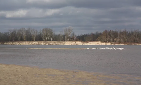 the Swiderskie Islands, the view on the other side of the vistula bank