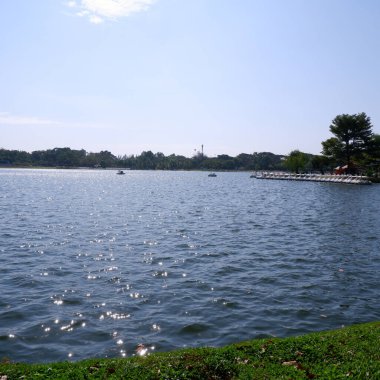 Hafta sonu halk parkında parlak huzurlu bir göl.