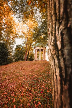 Cuggiono, Milano, İtalya - Ekim 2021: Sonbaharda Villa Annoni parkında 