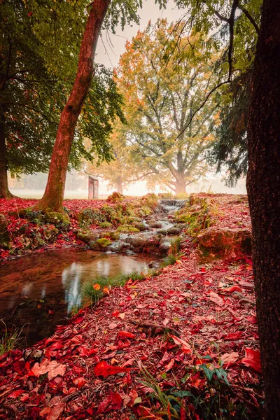 イタリア モンツァ 2021年11月 紅葉時のモンツァ公園内の小川 — ストック写真