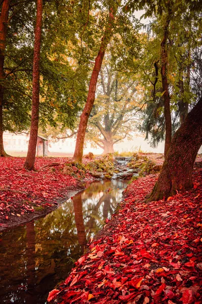 イタリア モンツァ 2021年11月 紅葉時のモンツァ公園内の小川 — ストック写真