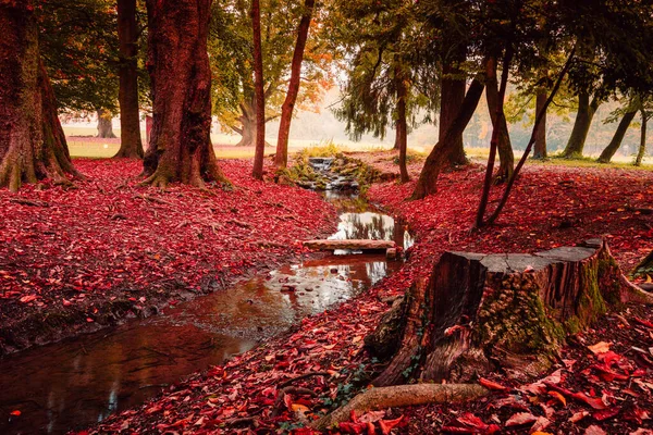 2021年11月 意大利蒙扎 秋天树叶在蒙扎公园的小河 — 图库照片