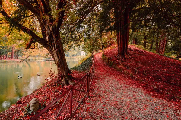 イタリア モンツァ 2021年11月 紅葉の時期に古刹を背景に モンツァ公園内の小さな池を囲む未舗装の道路 — ストック写真