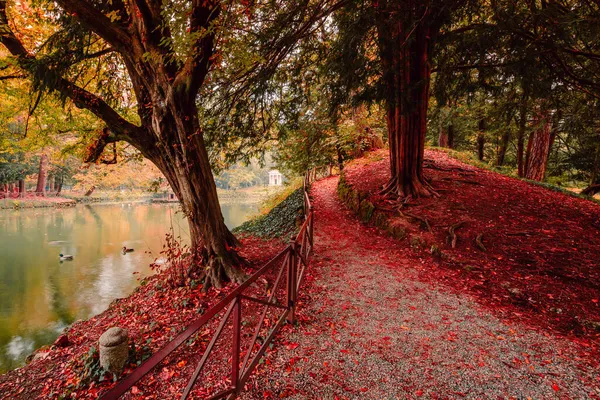 Monza Itália Novembro 2021 Estrada Terra Torno Uma Pequena Lagoa — Fotografia de Stock