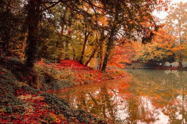 Monza Itália Novembro 2021 Lago Parque Monza Durante Folhagem Outono — Fotografia de Stock