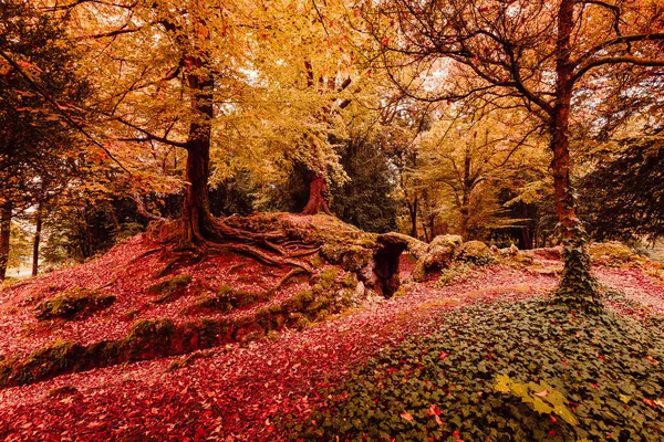 Monza Italien November 2021 Höstlandskap Monzaparken Bladverket — Stockfoto