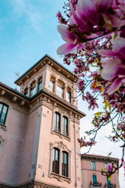 Milan, İtalya - Mart 2022: Çiçek açarken ön planda pembe manolya çiçekleri bulunan Milano binası