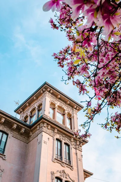 Milan Italy March 2022 Milanese Building Pink Magnolia Flowers Foreground — Stock Photo, Image