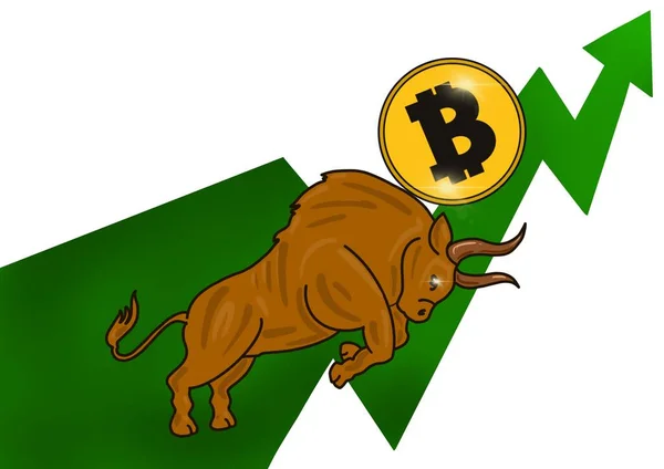 Árfolyam Növekedése Bitcoin Tőzsdei Kereskedési Bullchart Növekedési Ára Cryptocurrency Érme — Stock Fotó