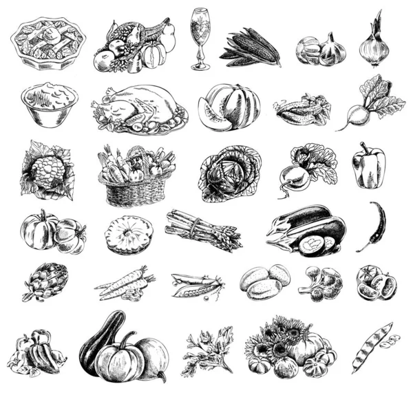 Elle çizilmiş şükran günü illüstrasyonu. Eski tarz. Retro yemek menüsü. Eskiz.