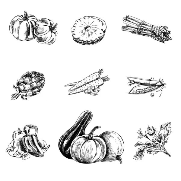 Illustration Vectorielle Action Grâce Dessinée Main Style Vintage Menu Alimentaire — Image vectorielle