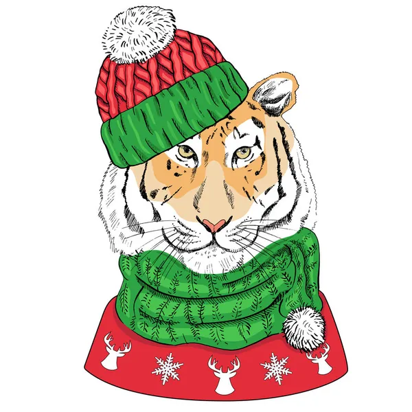 Ręcznie Narysowany Portret Noworocznego Tygrysa Szaliku Dziany Kapelusz Czerwony Sweter — Wektor stockowy