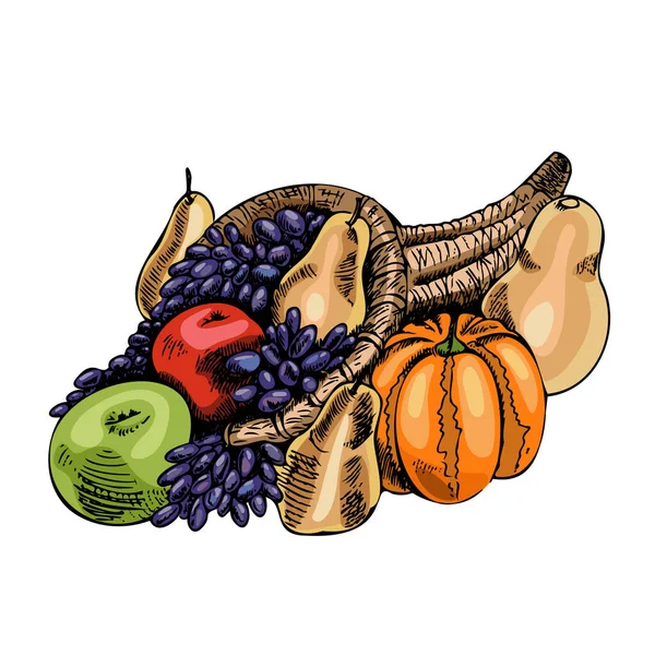 Vector Hand Drawn Food Illustration Detailed Retro Style Cornucopia Sketch — Image vectorielle