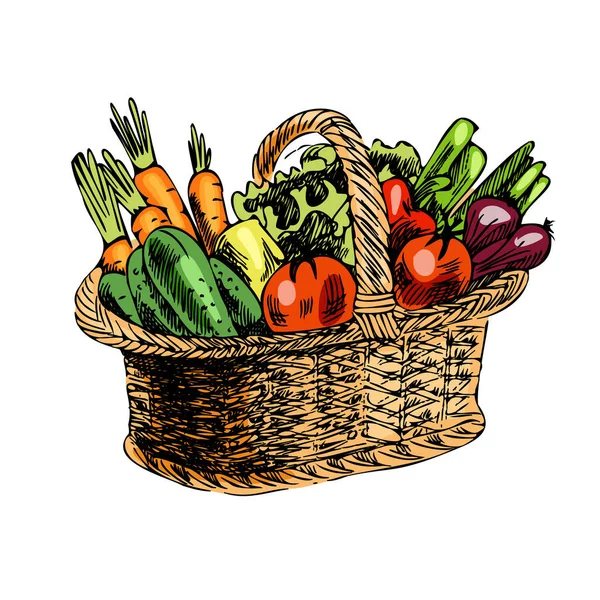 Vektorové Ručně Kreslené Zeleninové Ilustrace Detailní Retro Náčrt Koše Zeleninou — Stockový vektor